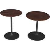 Remy Pedestal Accent End Table in Wood & Gunmetal Iron (Set of 2)